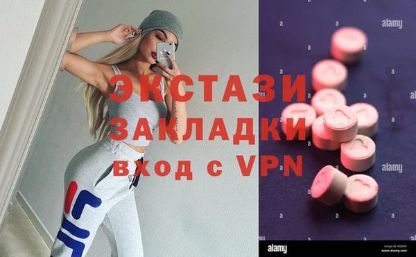 ECSTASY Богданович